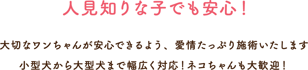 人見知りな子でも安心！大切なワンちゃんが安心できるよう、愛情たっぷり施術いたします
        小型犬から大型犬まで幅広く対応！ネコちゃんも大歓迎！