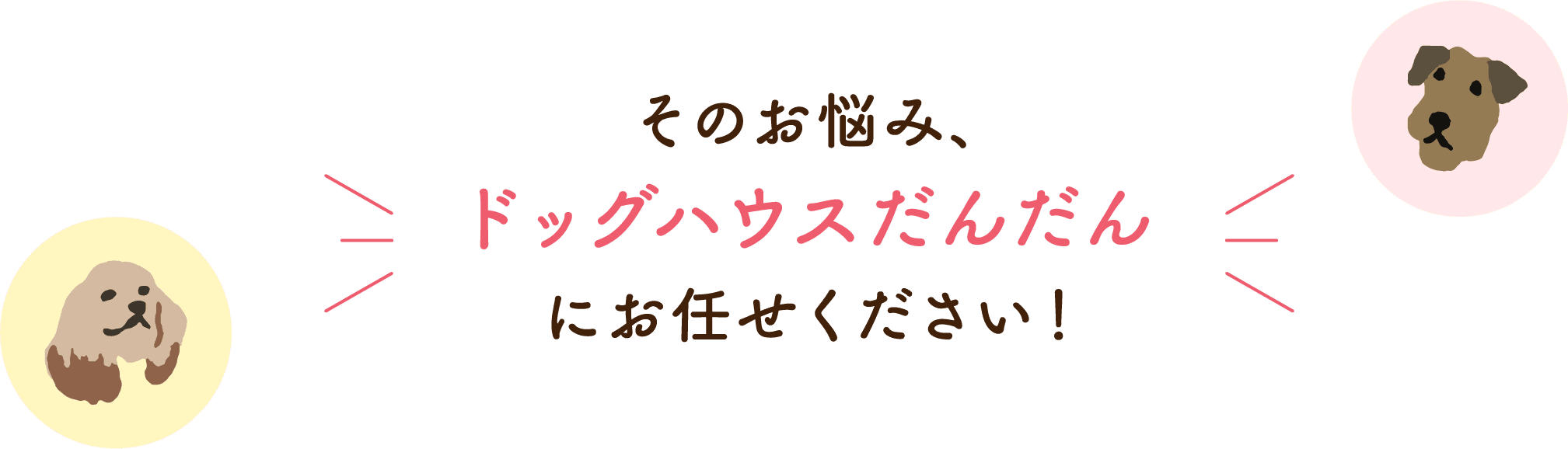 そのお悩み、ドッグハウスだんだんにお任せください！