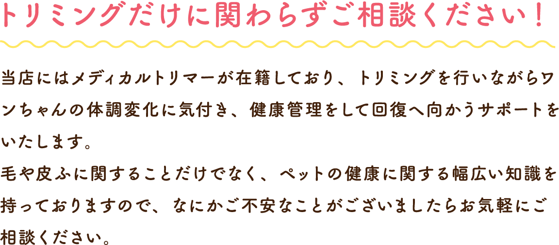 トリミングだけに関わらずご相談ください！